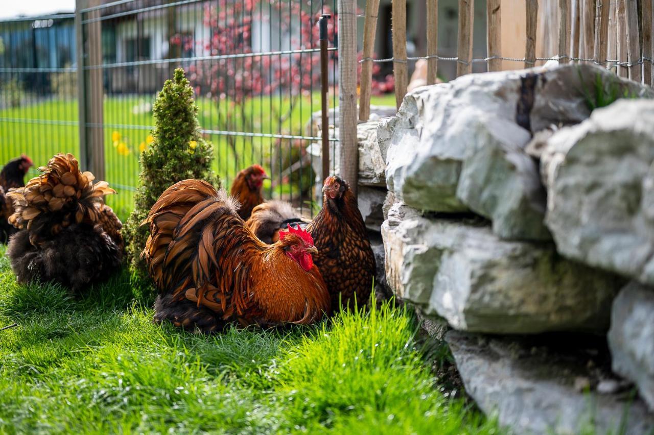 Daskaiser - Dein Gartenhotel In Tirol Ebbs Exteriör bild